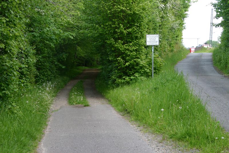Datei:Meimersdorfer Moor aus Richtung Meimersdorfer Weg.jpg