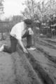 Magnussen bei der Gartenarbeit, 1981