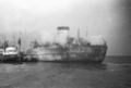 Morgens vor dem Achterschiff der „Bomin“: die Schlepper „Strande“ und „Bugsier 27“. (26.02.1971)