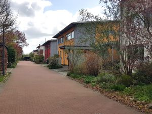 Weiden zum Horstblick.jpg