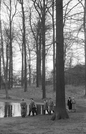 Osterspaziergang im Düsternbrooker Gehölz - Mondspiegel (Kiel 25.157).jpg