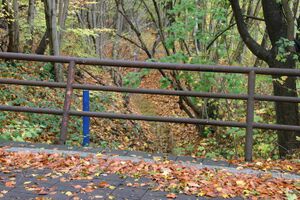 Struckdieksau am Hasselteich.JPG