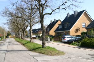 Traunsteiner Straße Baumreihe.jpg