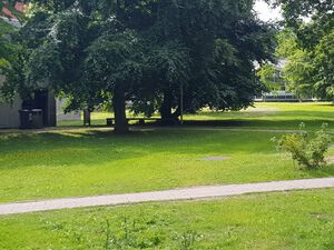 Hermann-Rodewald-Straße nach Süden.jpg
