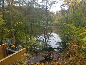 Auslauf Vollrathsbach.jpg