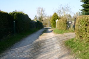 Hellkoppel von Großer Kamp zum Rehhorst.jpg