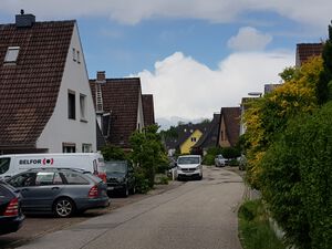 Hasselrade vom Diekweg.jpg