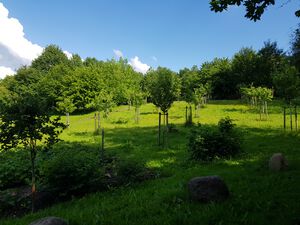 Diedrichstraße Hofteich Streuobstwiese.jpg