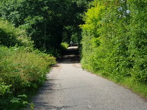 Gartenkoppel von Hofholzallee.jpg