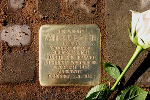 Stolperstein Manfred Buchen.jpg
