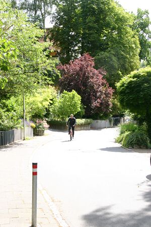 Scharweg nach Osten.jpg