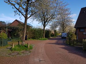 Witzlebenweg nach Osten.jpg