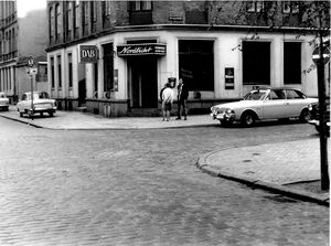 Die Palenke 50er.jpg