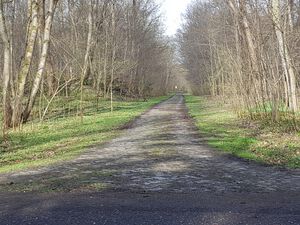 Zur Kanalinsel von Stadtparkweg.jpg