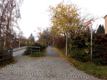 Der Rektor-Renner-Weg; links die Fahrbahn vom Ostring