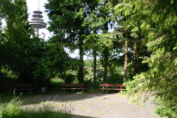 Die Reste des runden Platzes in der ehemaligen Behelfsheimsiedlung Hasenholz