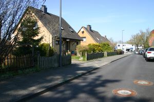 Ginsterbusch Richtung Schlehenkamp.jpg