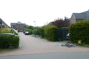 Hortensienstrauch von Goldregenholz.jpg