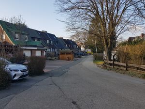 Buchenweg nach Norden.jpg