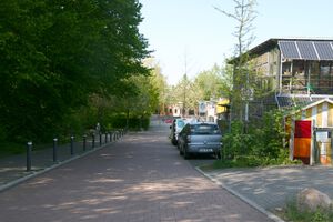 Grönhorst von Lütt Steenbusch.jpg