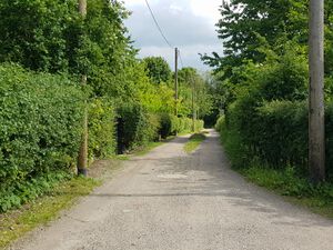 Gartenkoppel nach Süden.jpg