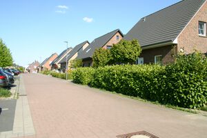 Libellenweg nach Osten.jpg