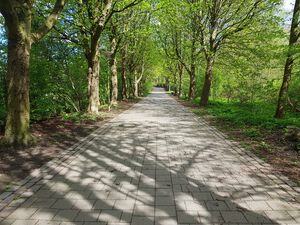 Wikingerbummel nach Norden.jpg