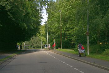 Blick zur Eichhofstraße