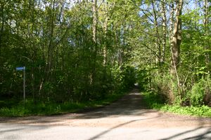 Schmale Göhle vom Eiderbrook.JPG