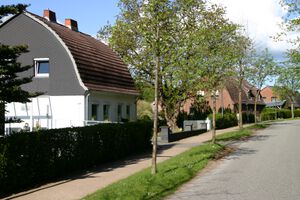 Damaschkeweg Tonnendachhäuser.JPG