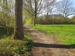 Feldrain von Auf der Wurth zur Schilkseer Straße.jpg