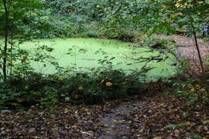 Mondspiegel, Oktober 2025.jpg