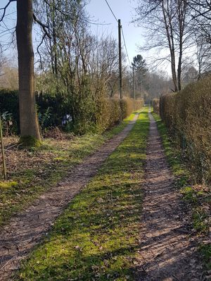 Kneist nach Süden zum Böttgersberg.jpg