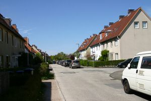 Holunderbusch am Hasenholz.JPG